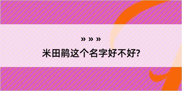 米田鹃这个名字好不好?