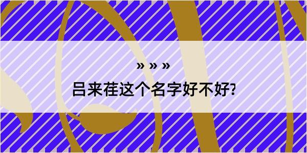 吕来荏这个名字好不好?