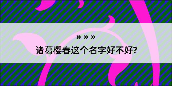 诸葛樱春这个名字好不好?