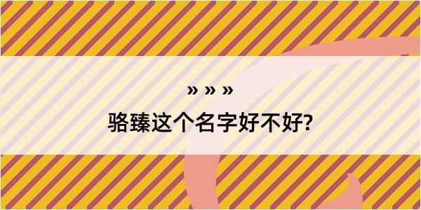 骆臻这个名字好不好?