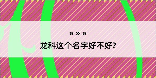 龙科这个名字好不好?