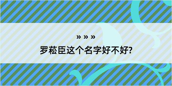 罗菘臣这个名字好不好?