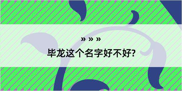 毕龙这个名字好不好?