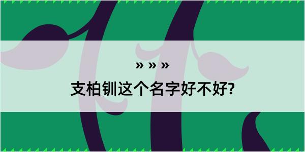 支柏钏这个名字好不好?