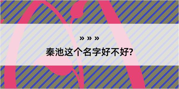 秦池这个名字好不好?