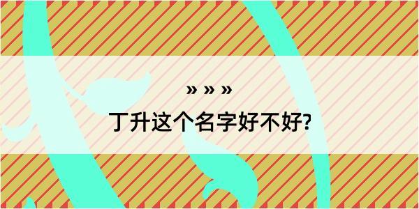 丁升这个名字好不好?