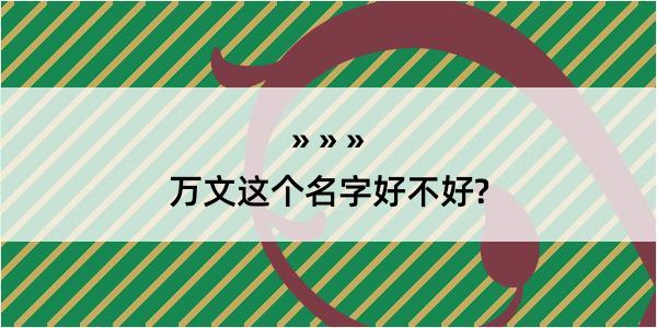 万文这个名字好不好?