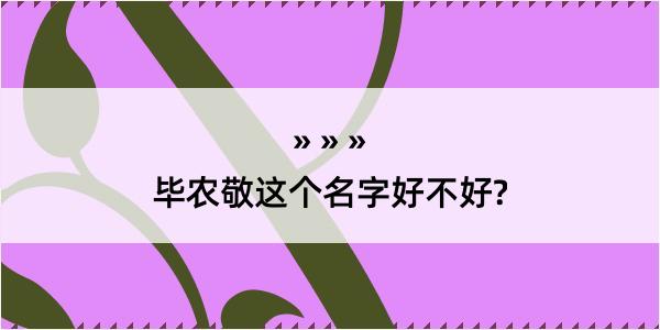 毕农敬这个名字好不好?