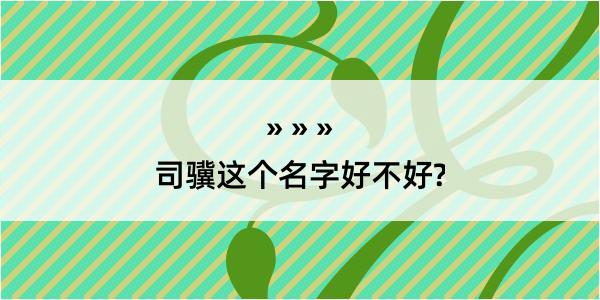 司骥这个名字好不好?