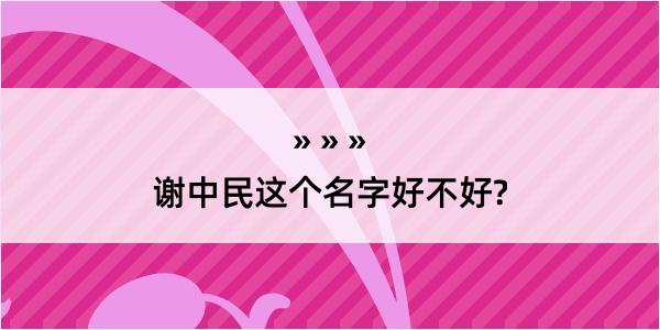 谢中民这个名字好不好?