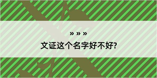 文证这个名字好不好?