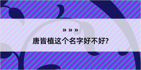 唐皆植这个名字好不好?