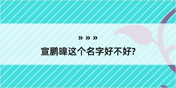 宣鹏暐这个名字好不好?