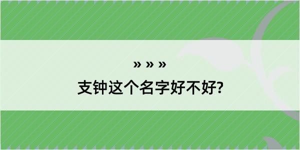 支钟这个名字好不好?