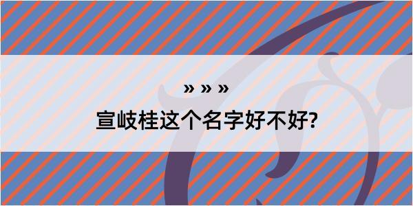 宣岐桂这个名字好不好?