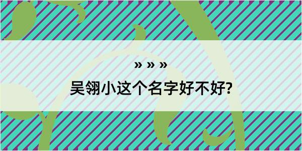 吴翎小这个名字好不好?