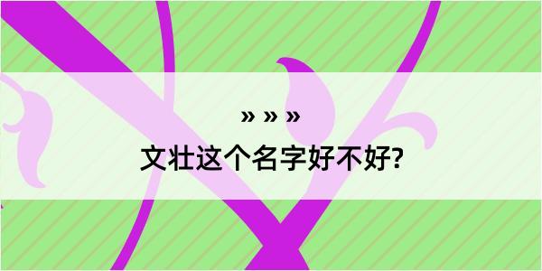 文壮这个名字好不好?