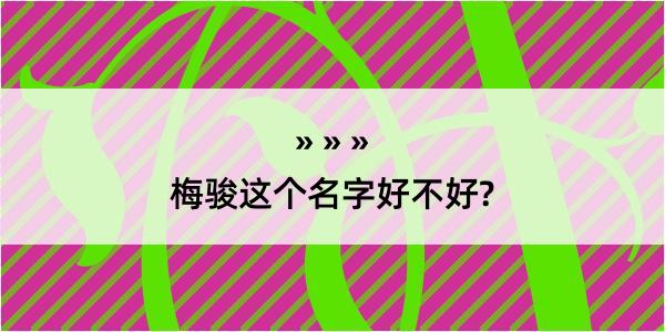 梅骏这个名字好不好?