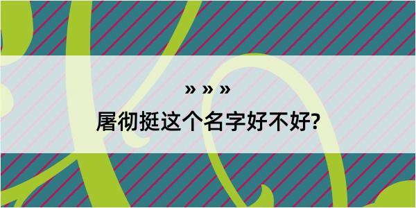 屠彻挺这个名字好不好?