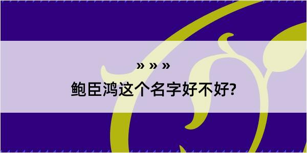 鲍臣鸿这个名字好不好?