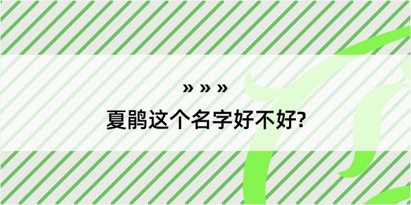 夏鹃这个名字好不好?