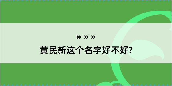 黄民新这个名字好不好?