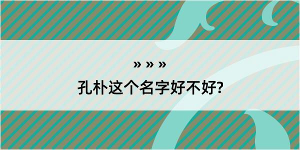 孔朴这个名字好不好?