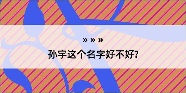 孙宇这个名字好不好?