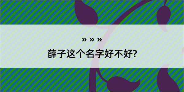 薛子这个名字好不好?