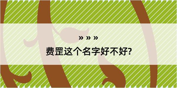 费罡这个名字好不好?