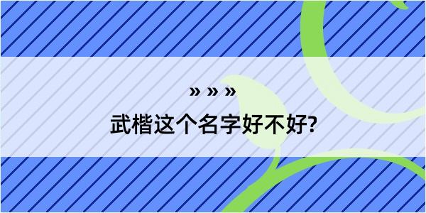 武楷这个名字好不好?