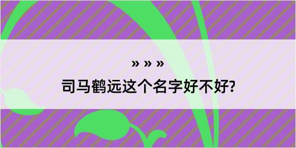 司马鹤远这个名字好不好?