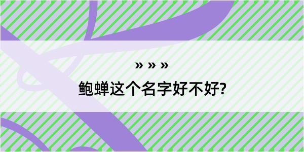 鲍蝉这个名字好不好?