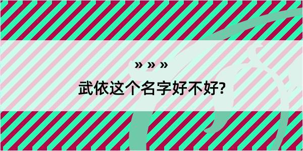 武依这个名字好不好?