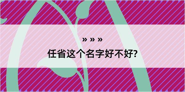 任省这个名字好不好?