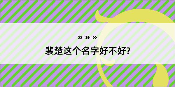 裴楚这个名字好不好?