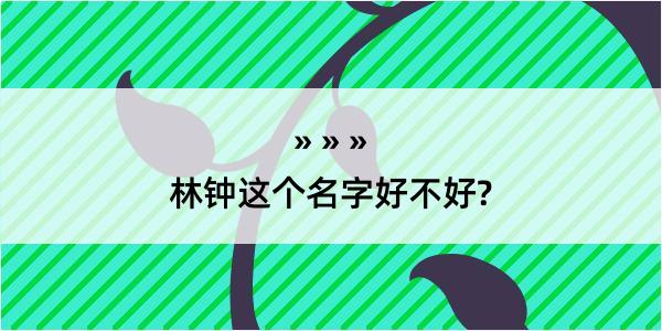 林钟这个名字好不好?