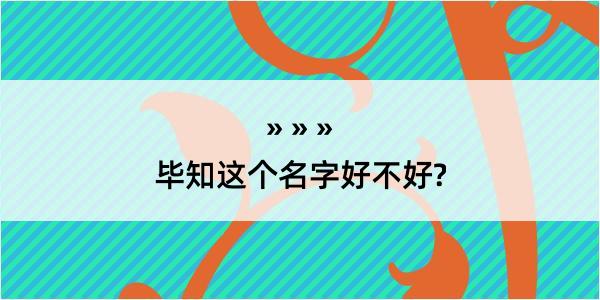 毕知这个名字好不好?