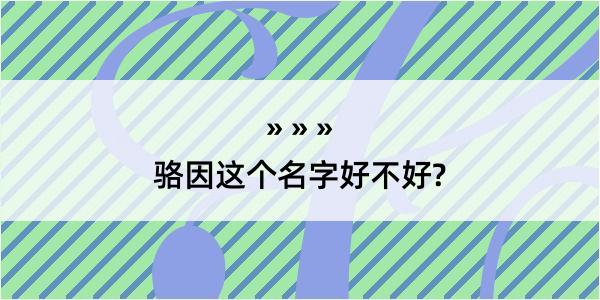 骆因这个名字好不好?