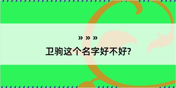 卫驹这个名字好不好?