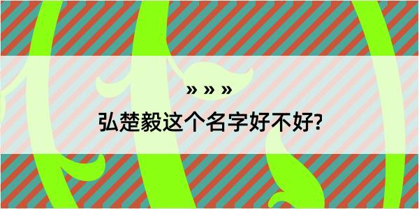 弘楚毅这个名字好不好?