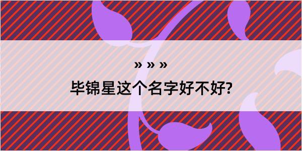 毕锦星这个名字好不好?