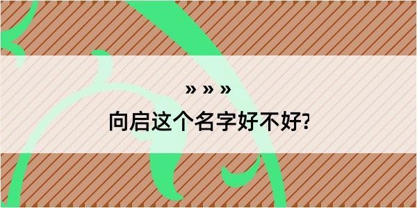 向启这个名字好不好?