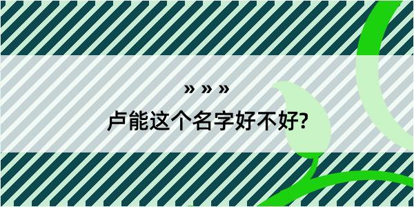 卢能这个名字好不好?