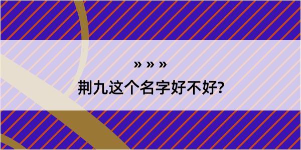 荆九这个名字好不好?