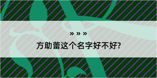 方助蕾这个名字好不好?