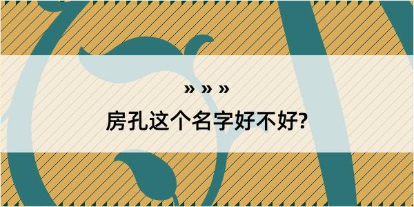 房孔这个名字好不好?