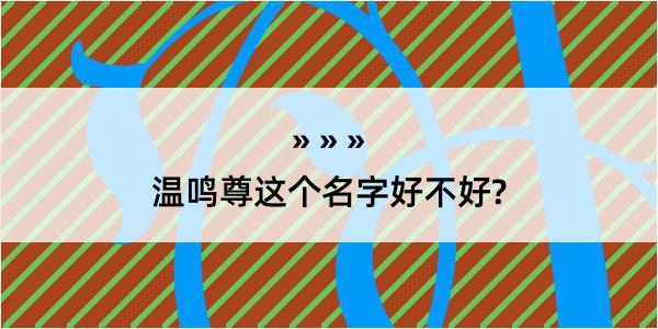 温鸣尊这个名字好不好?