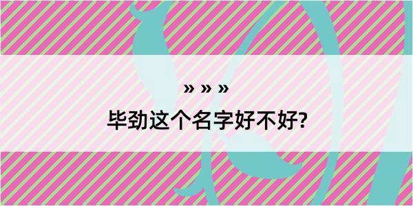 毕劲这个名字好不好?