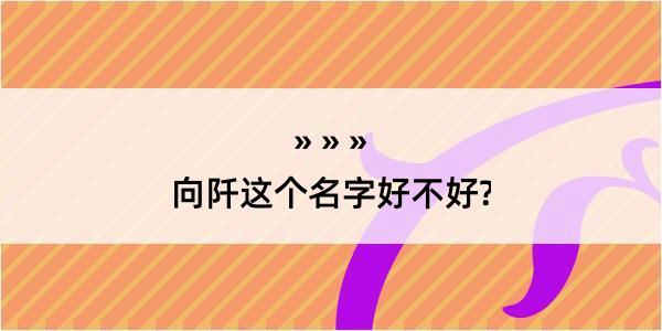 向阡这个名字好不好?